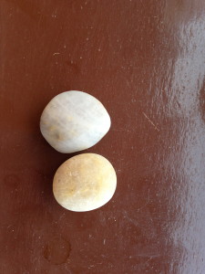 a white and a beige stone (they are in love!)